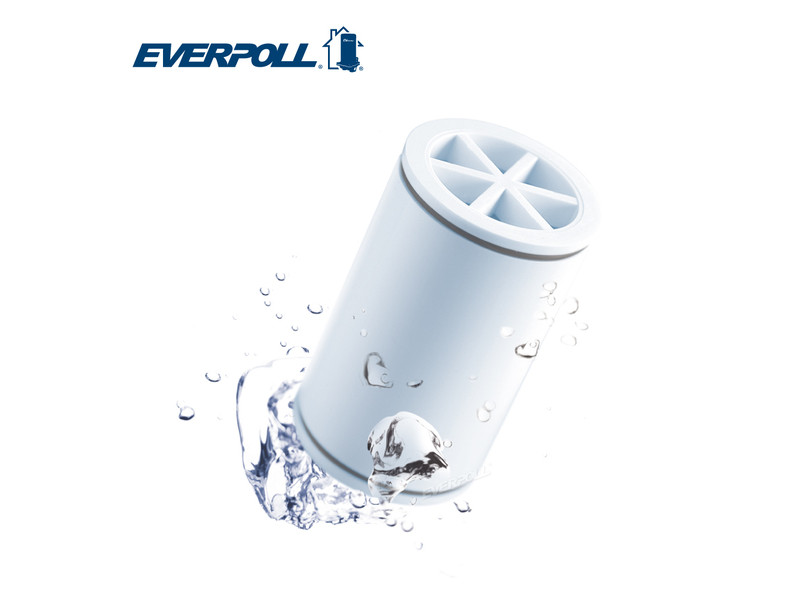 EVERPOLL 微分子專用濾芯