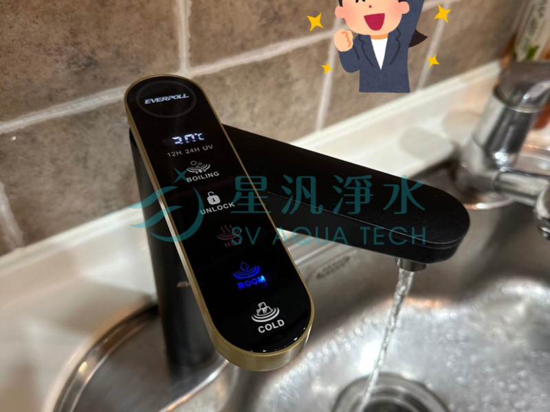 EVERPOLL EVB-398 實績安裝案例