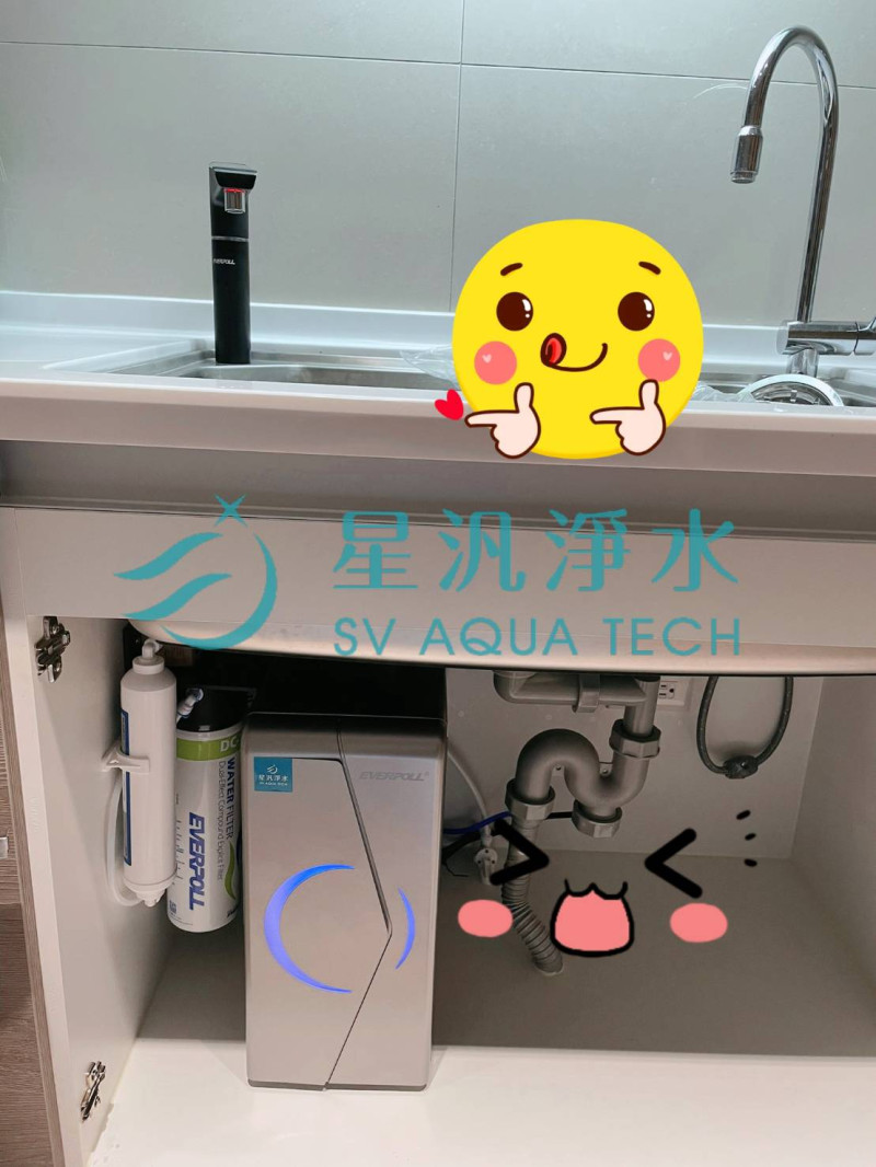 EVERPOLL EVB298-E+EVERPOLL DCP3000 實績安裝案例