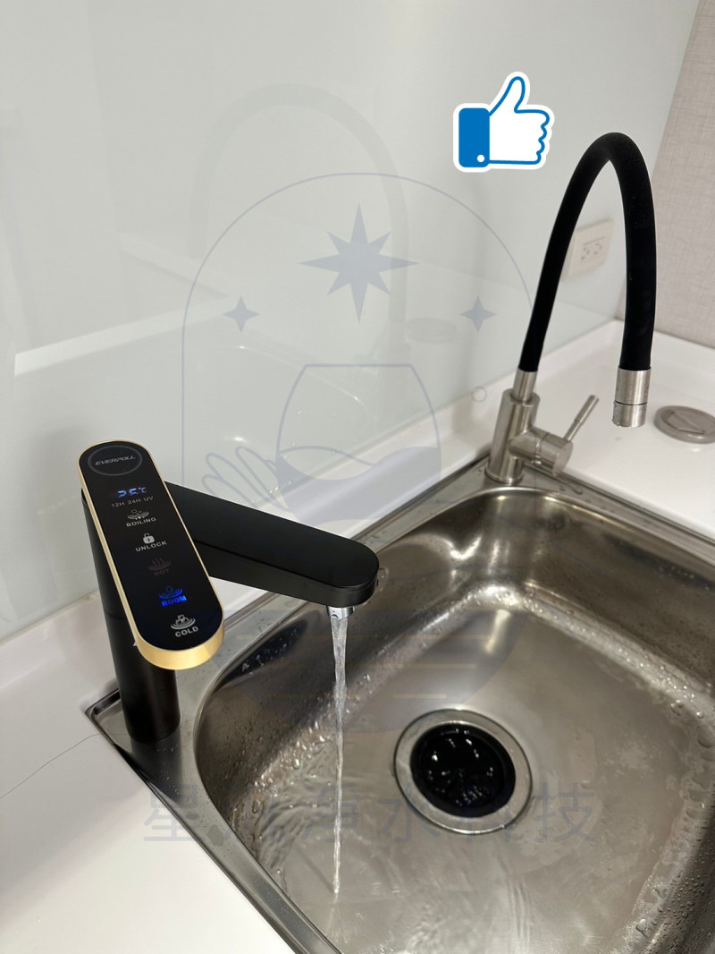 EVERPOLL EVB-398 淨水器 淨水設備 RO 全戶淨水 家用淨水 櫥下型 廚下型