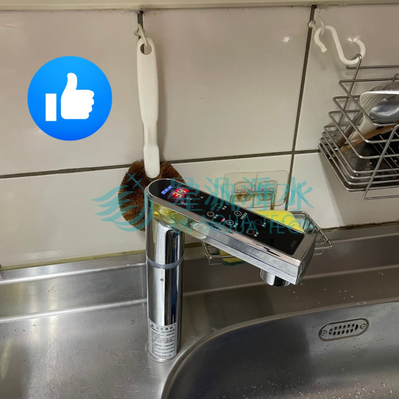 愛惠浦 EVERPURE HS288T PLUS 淨水器 拉線 淨水設備 全戶淨水 商用淨水 