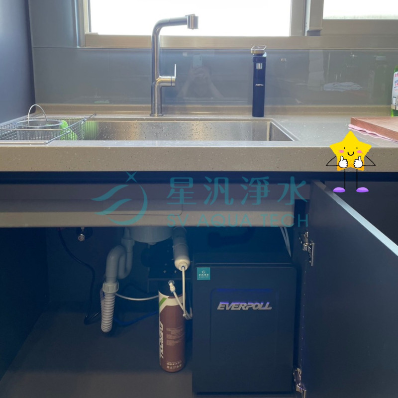 EVB398 淨水器 飲水機 廚下型 EVERPOLL 商用淨水 全戶淨水 家用淨水 淨水設備 飲水機