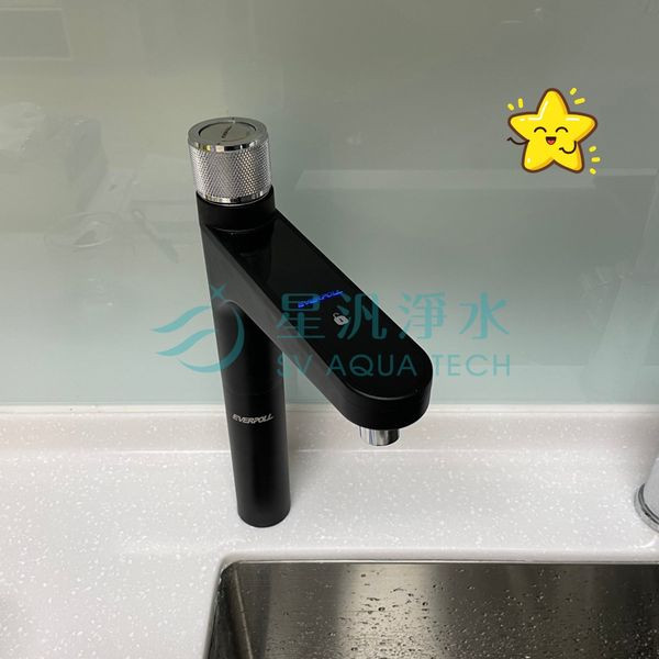 EVERPOLL EP-168 PLUS 淨水器 櫥下型 廚下型 RO 全戶淨水 商用淨水 淨水設備