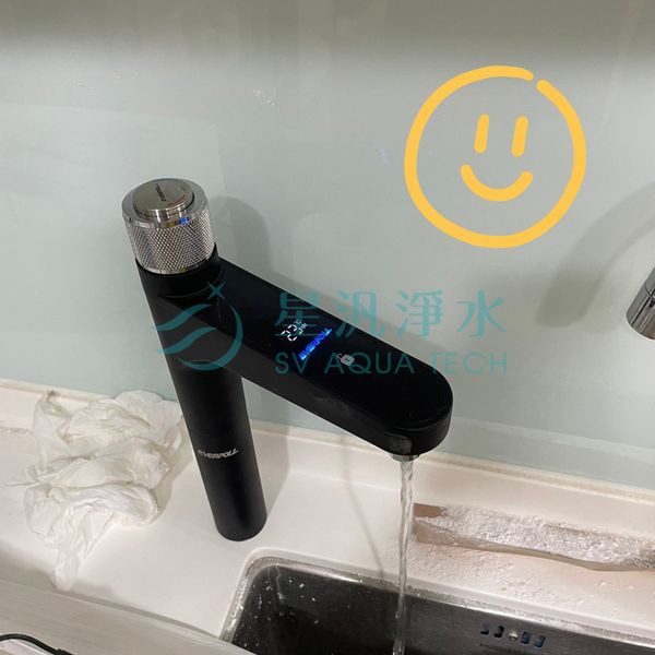 EVERPOLL EP-168 PLUS 淨水器 淨水設備 RO 全戶淨水 家用淨水 櫥下型 廚下型