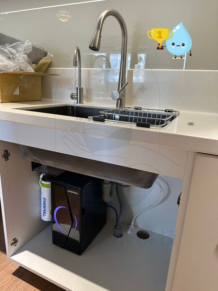 EVERPOLL EP-168 淨水器 淨水設備 RO 全戶淨水 家用淨水 櫥下型 廚下型