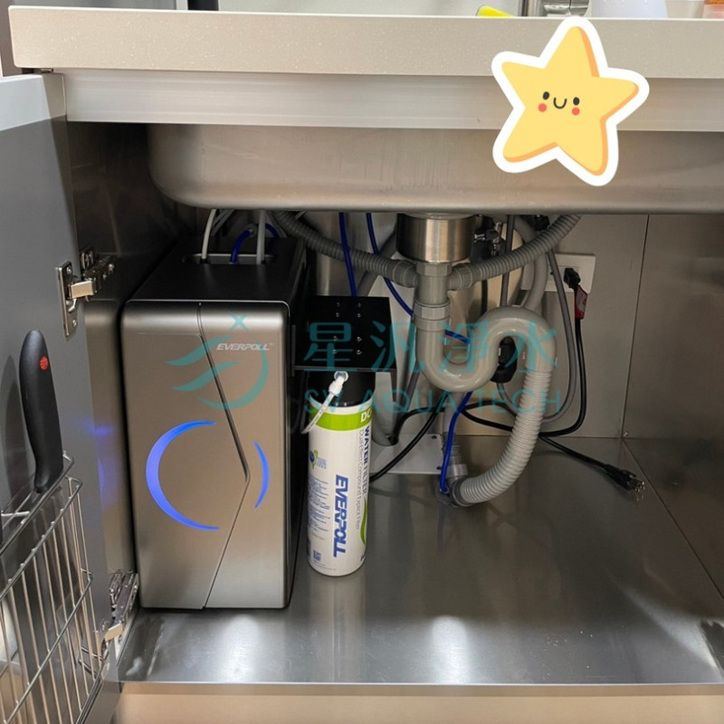 EVERPOLL EVB298-E 廚下型飲水機 熱飲機 商用淨水 飲水機 RO 淨水器 全戶淨水