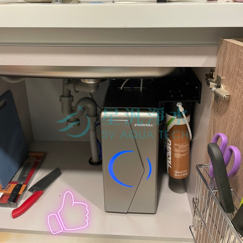 EVB-298-E 淨水器 飲水機 廚下型 EVERPOLL 商用淨水 全戶淨水 家用淨水 淨水設備 飲水機