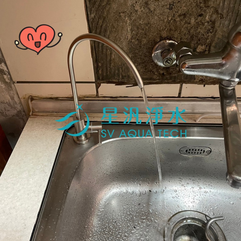 DCP3000 淨水器 飲水機 廚下型 EVERPOLL 商用淨水 全戶淨水 家用淨水 淨水設備 飲水機