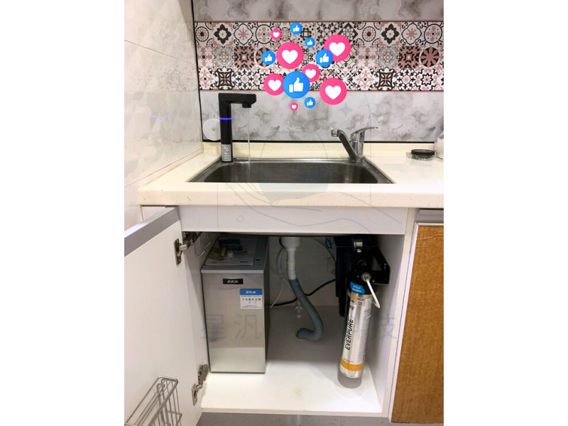 愛惠浦 淨水器  HS288T 飲水機 飲水設備 商用淨水 全戶淨水 RO
