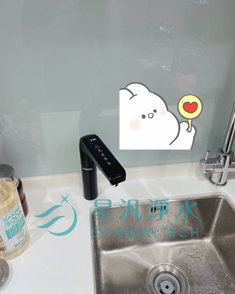 EVERPOLL EVB298-E+EVERPOLL DCP3000