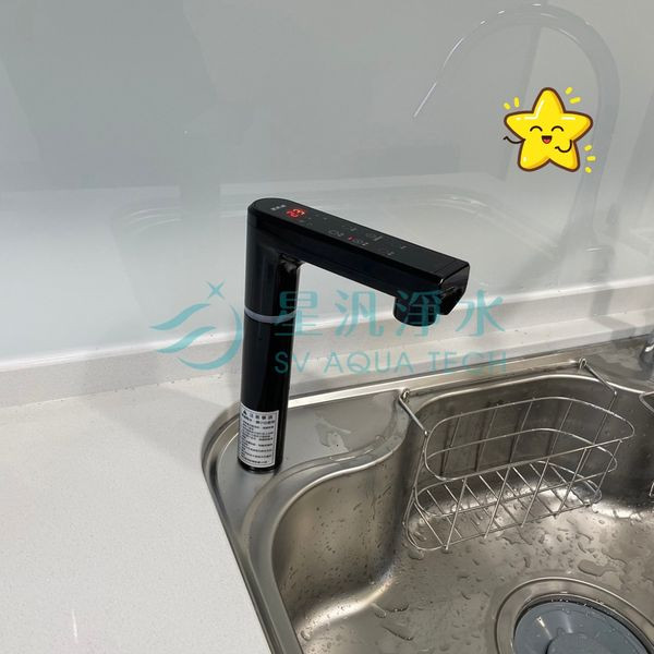 愛惠浦 HS288T PLUS 淨水器 淨水設備 RO 全戶淨水 家用淨水 櫥下型 廚下型