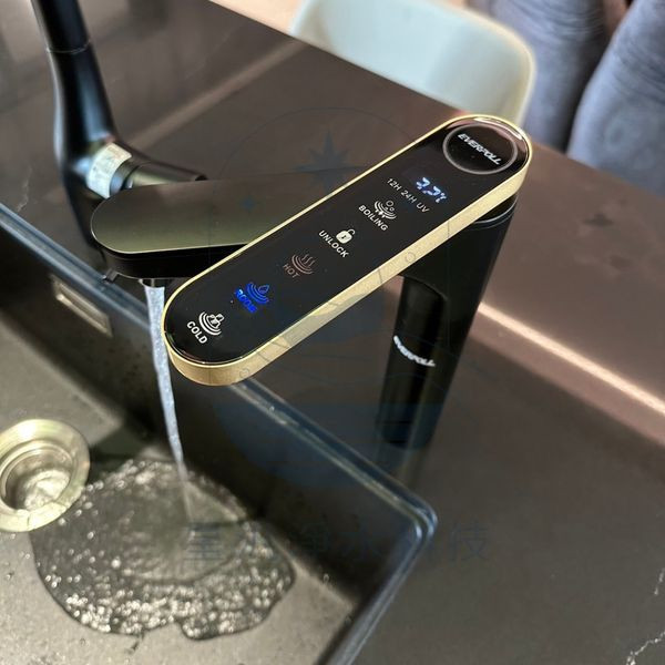 EVERPOLL EVB-398 淨水器 淨水設備 RO 全戶淨水 家用淨水 櫥下型 廚下型