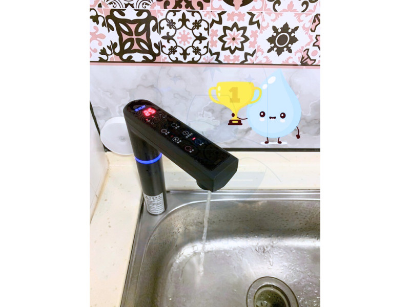 愛惠浦 淨水器  HS288T 飲水機 飲水設備 商用淨水 全戶淨水 RO