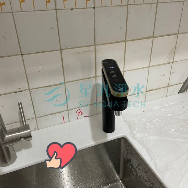 EVB398 淨水器 飲水機 廚下型 EVERPOLL 商用淨水 全戶淨水 家用淨水 淨水設備 飲水機