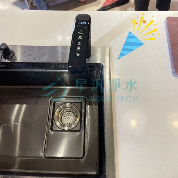 EVERPOLL EVB298-E 淨水器 淨水設備 RO 櫥下型 廚下型 