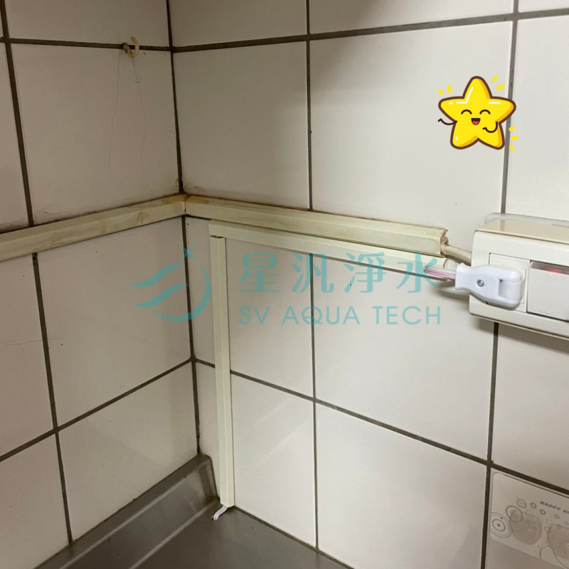 愛惠浦 EVERPURE HS288T PLUS 淨水器 拉線 淨水設備 全戶淨水 商用淨水 