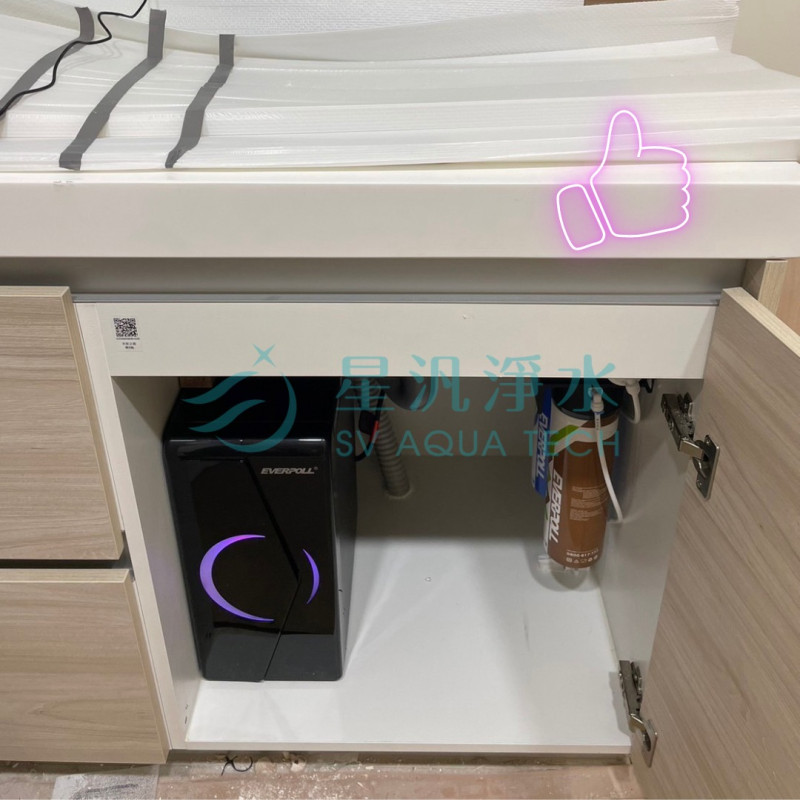 EVERPOLL EP-168 PLUS 淨水器 淨水設備 RO 全戶淨水 家用淨水 櫥下型 廚下型