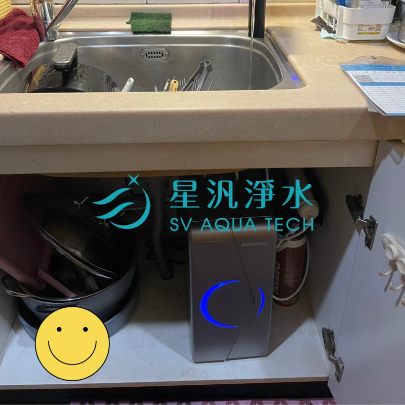 EVERPOLL EVB-298E 淨水器 淨水設備 RO 全戶淨水 家用淨水 櫥下型 廚下型